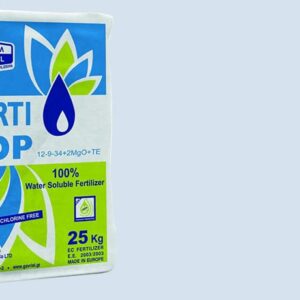 فيرتي توب ١٩-١٩-١٩