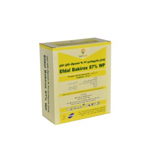 افدال باكيروكس